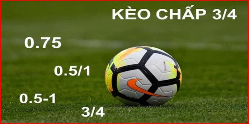 Các dạng kèo được hỗ trợ tối đa bởi 7m kèo nhà cái