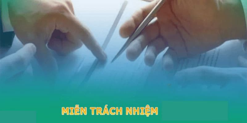 Những nội dung chính thường có trong phần miễn trừ trách nhiệm