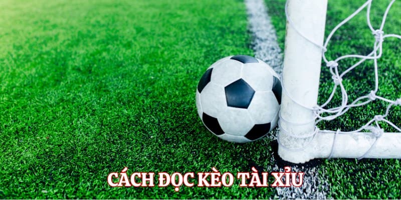 Kèo tài xỉu Phân loại kèo tài xỉu phổ biến