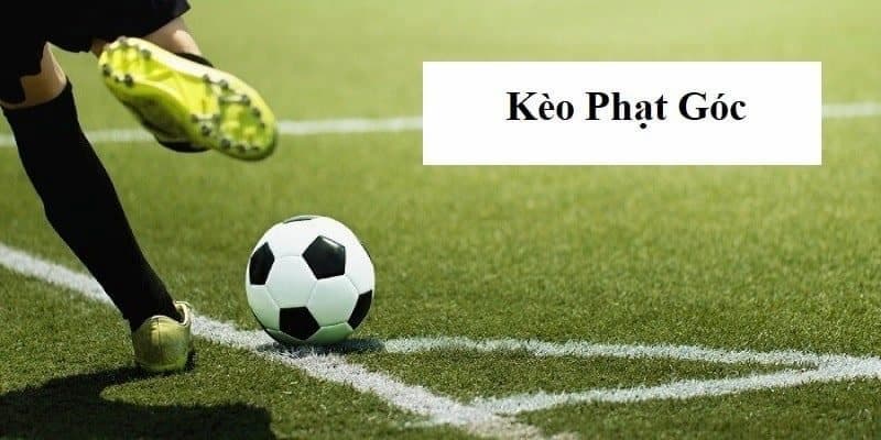 Kèo phạt góc Tổng quan về kèo phạt góc trong cá cược bóng đá